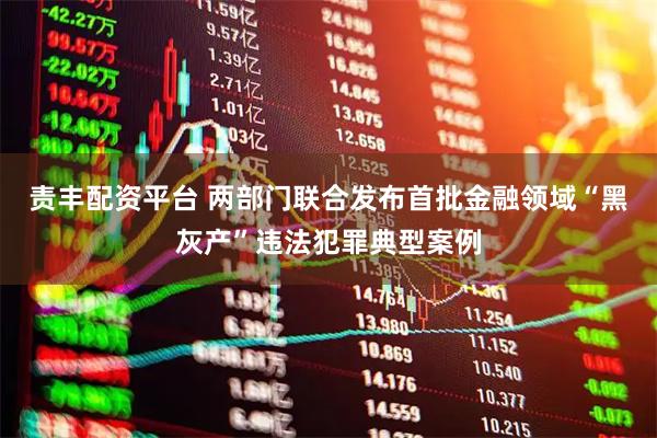 责丰配资平台 两部门联合发布首批金融领域“黑灰产”违法犯罪典型案例