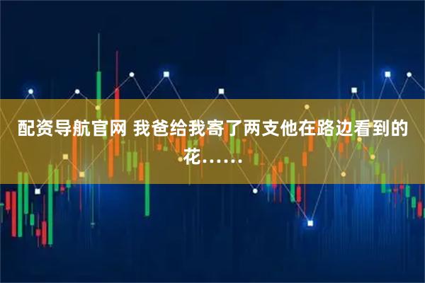 配资导航官网 我爸给我寄了两支他在路边看到的花……